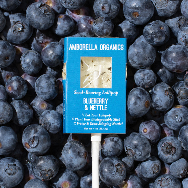 Seed-Bearing Lollipops