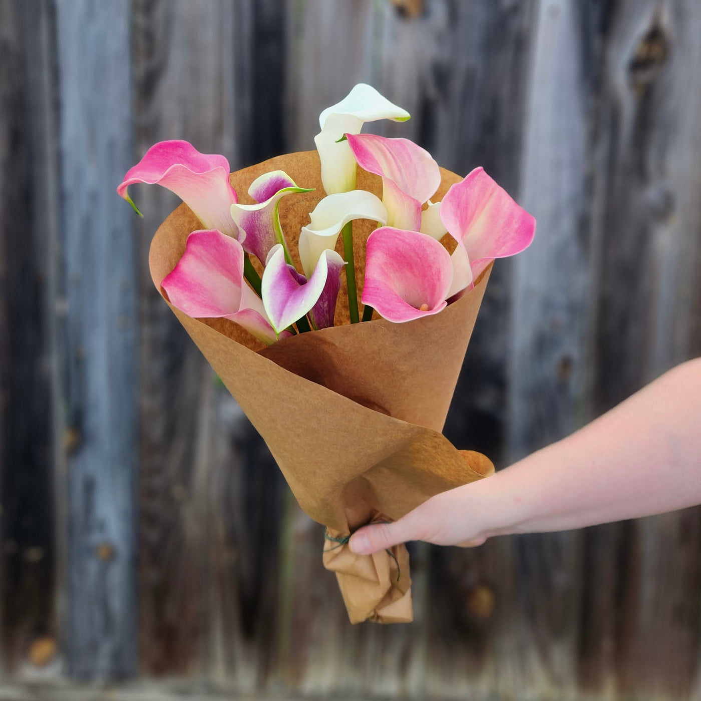 Mixed Calla Lily Bundle
