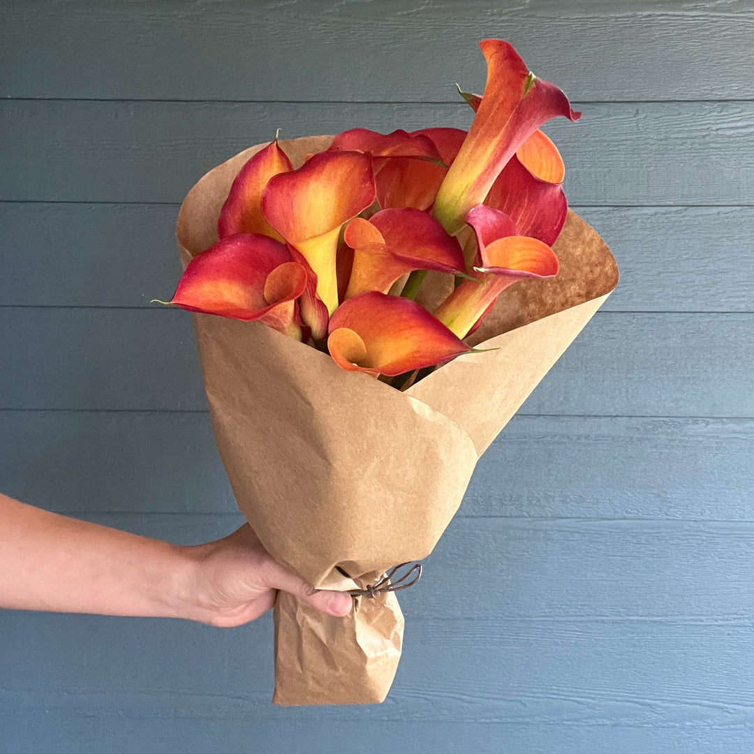 Orange Mango Calla Lilies
