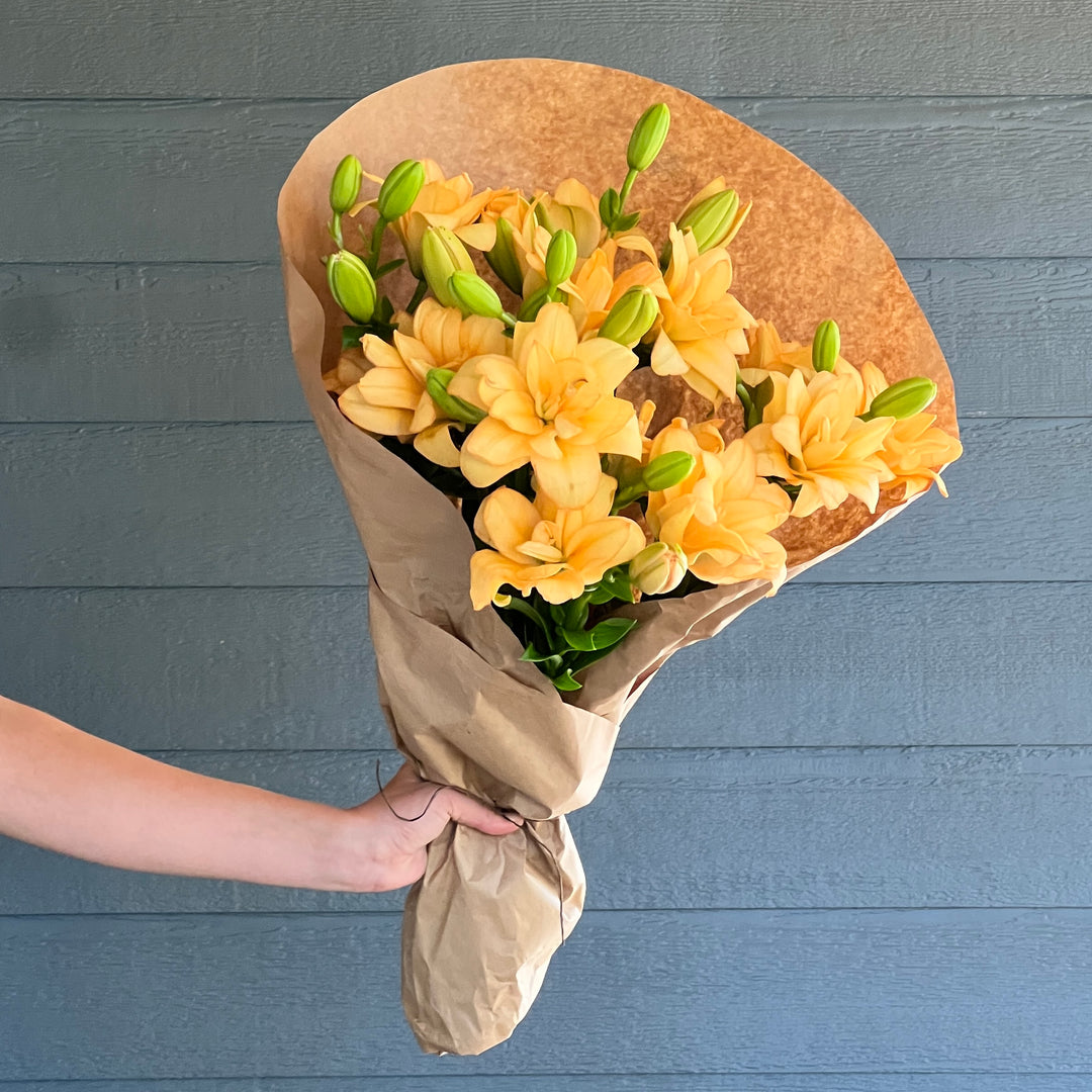 Peach Double Lily Bundle
