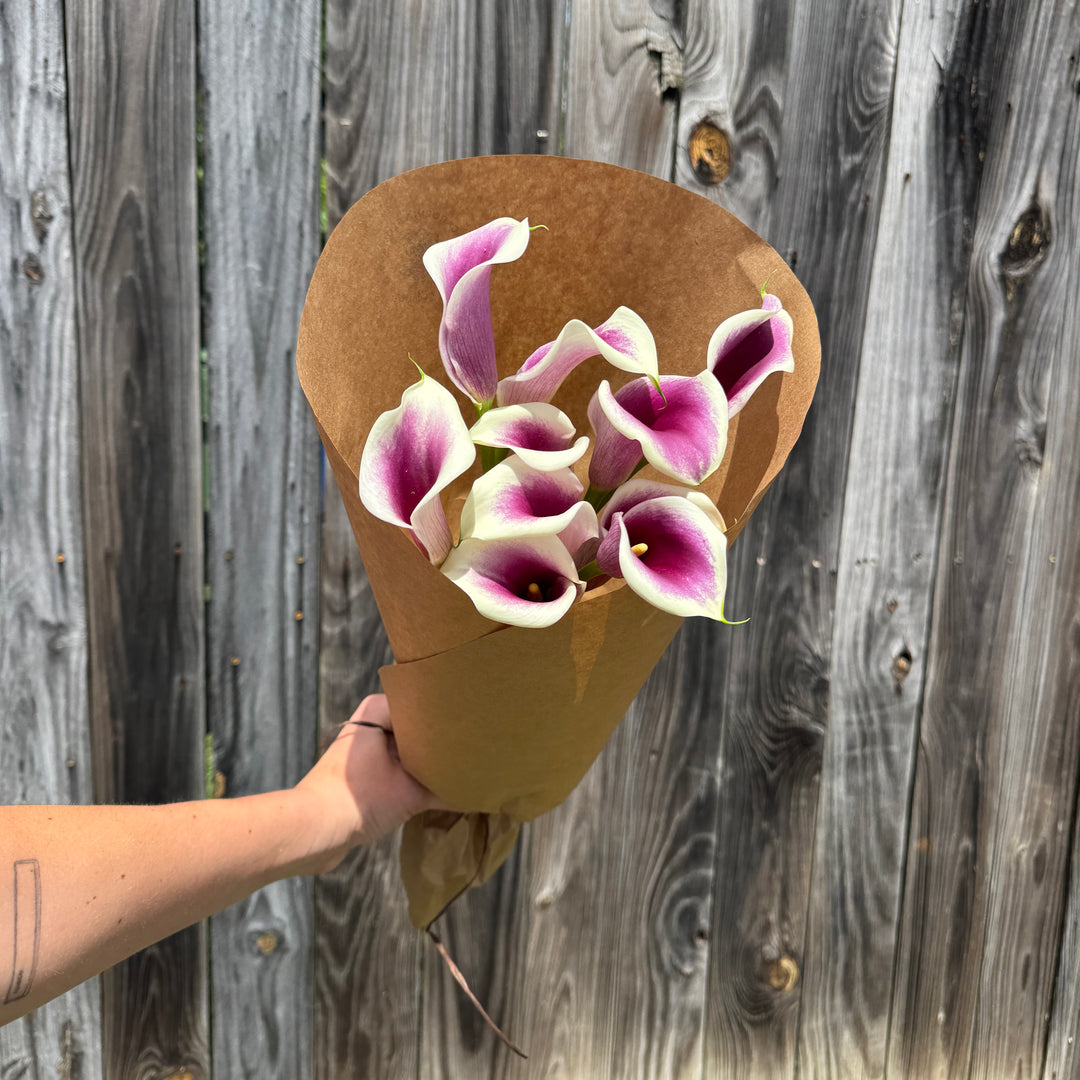Purple/White Calla Lilies
