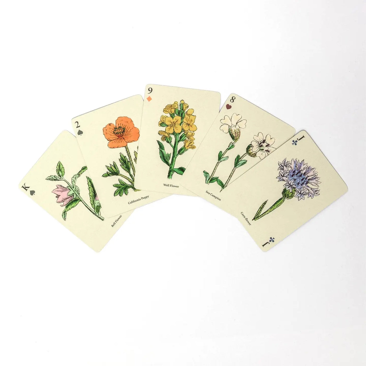 Wildflowers Single Playing Card Deck