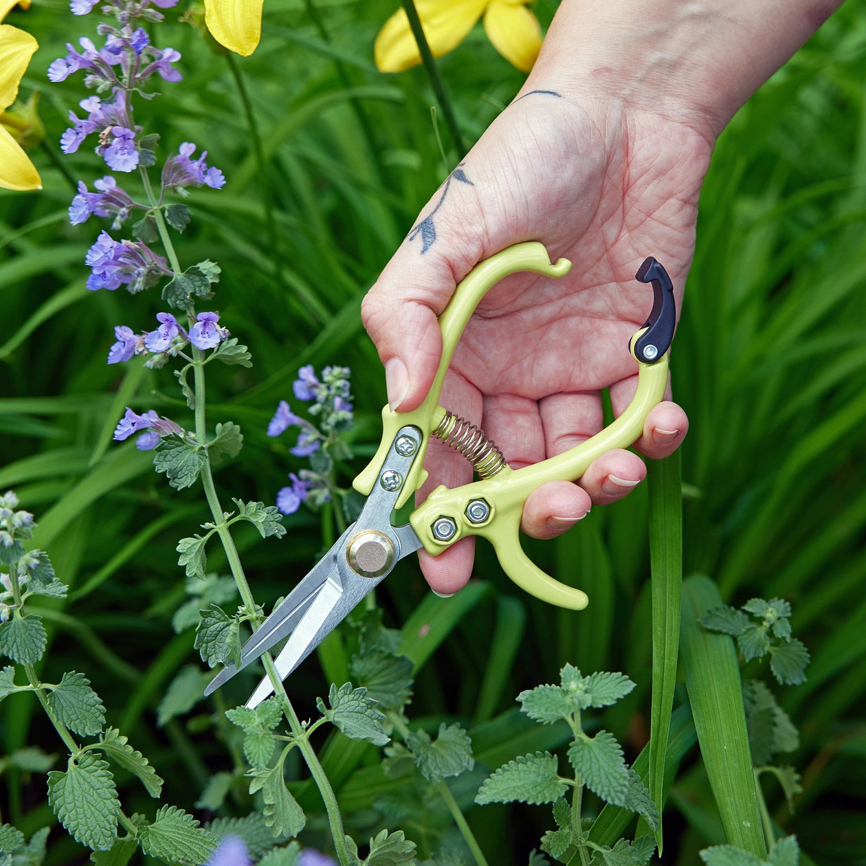 Garden Shears