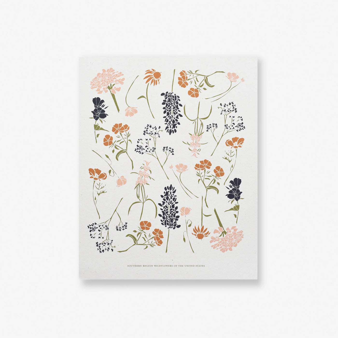 Wildflowers of the South Art Print