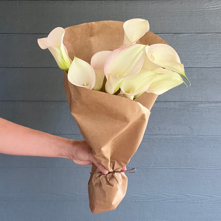 White Calla Lilies
