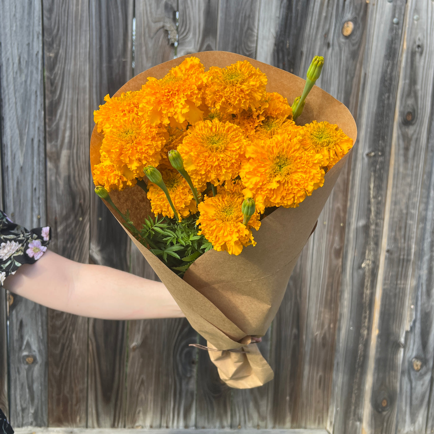 Gold Marigold Bundle