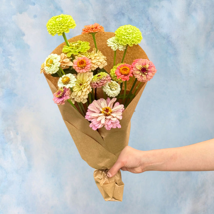 Zinnia Bundle