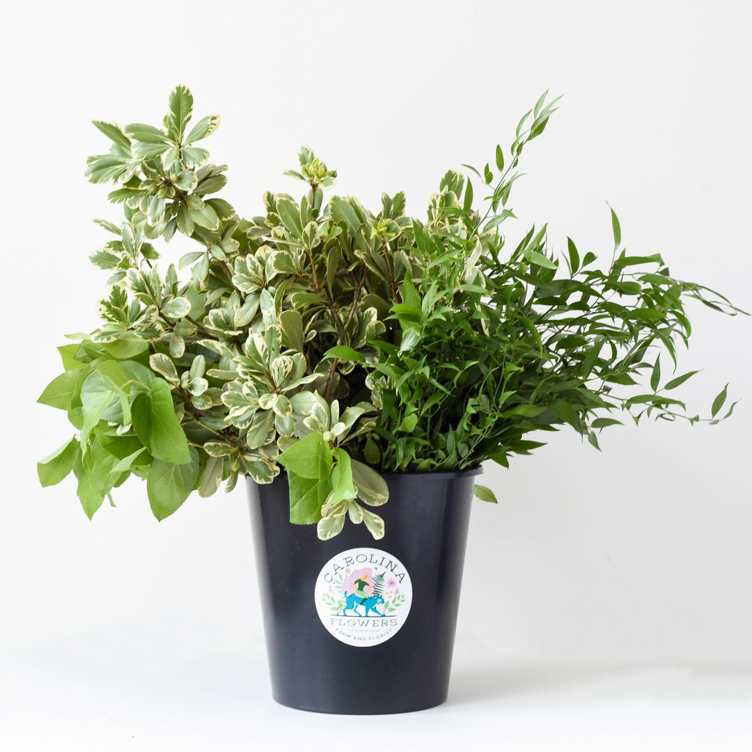 Asheville Wedding Florist