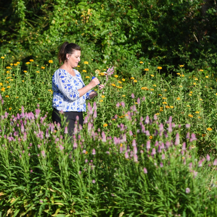 Spring on the Flower Farm Field + Studio Workshop, April 11, 11-1 p.m.