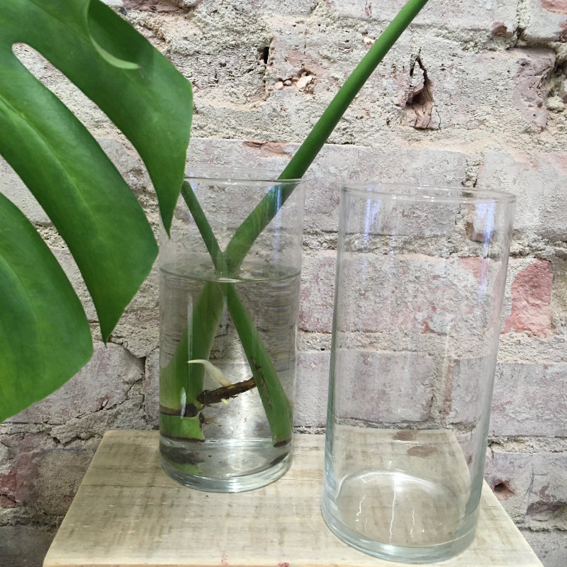 Tall Cylindrical Glass Vase