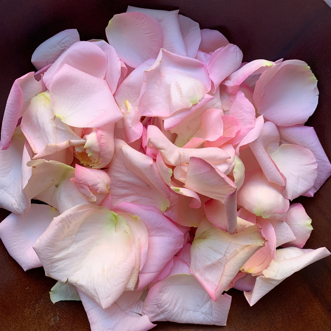 flower pedals Fresh Flower Petals – Carolina Flowers