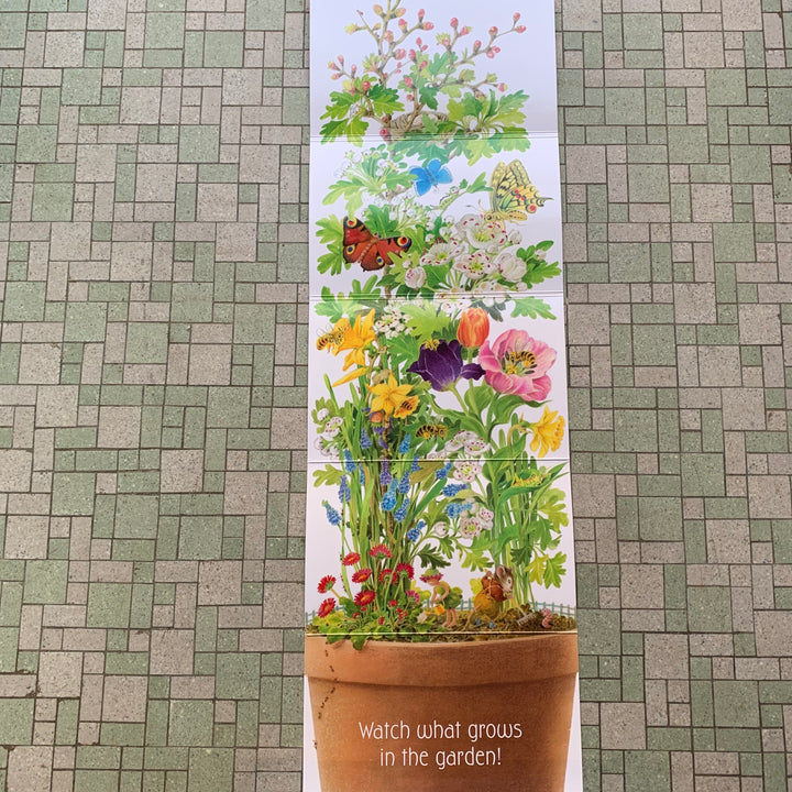 In the Garden Board Book