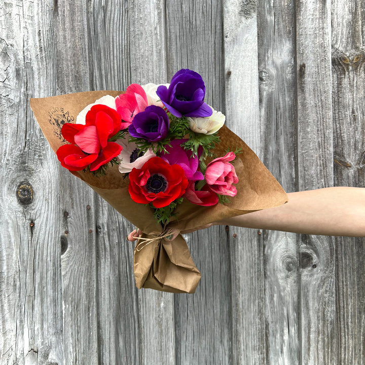 Anemones, Mixed Bunch