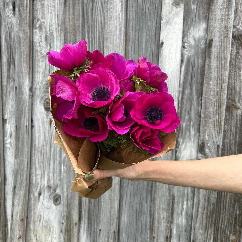 Pink Anemone Bouquet Carolina Flowers Asheville
