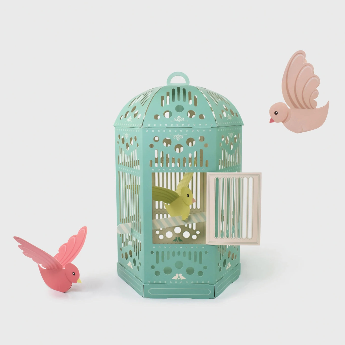 Build Your Own Birdcage Kit