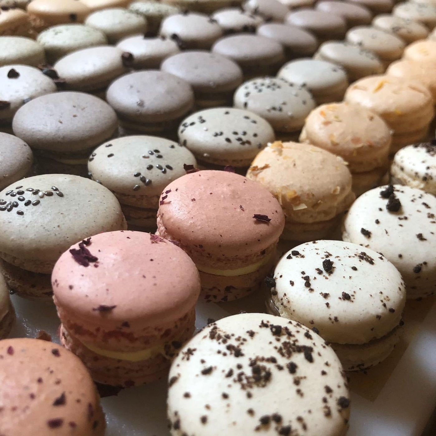 Local Macarons by Beeswax & Butter