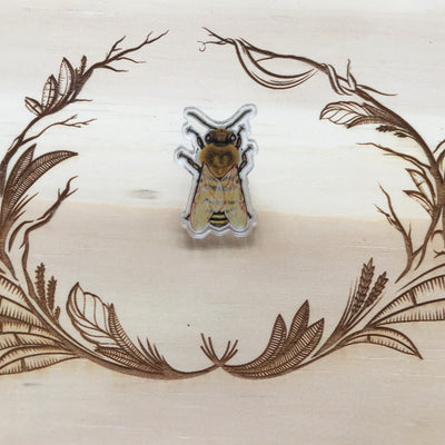 Locally Made Insect Pin