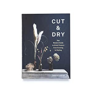 Cut & Dry: The Modern Guide to Dried Flowers