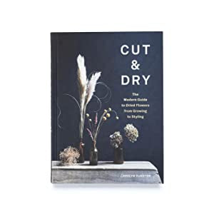 Cut & Dry: the Modern Guide to Dried Flowers Book