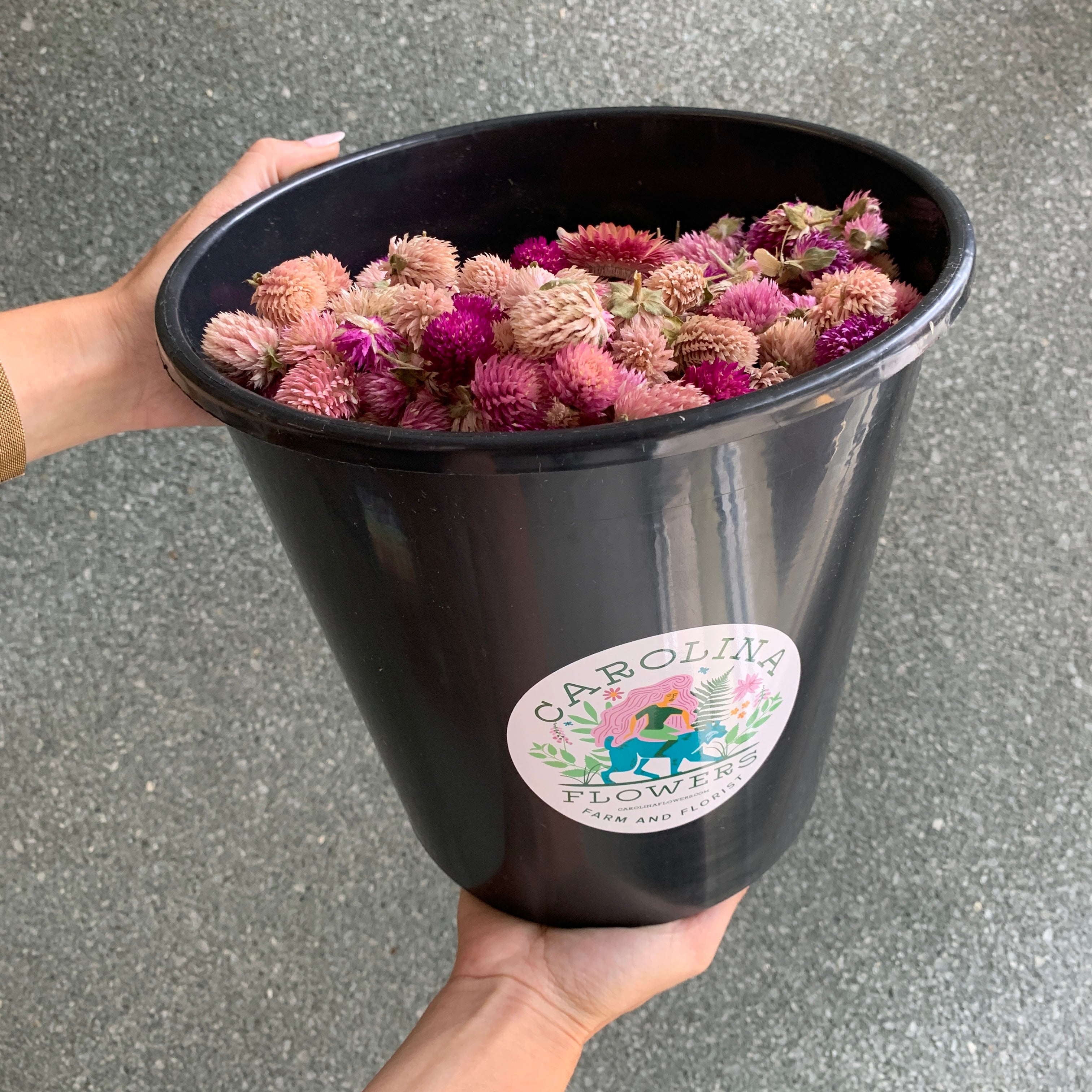 Dried Flower Confetti - Summer in a Box