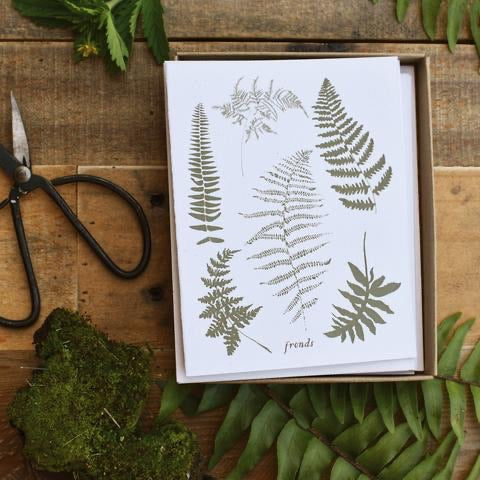 Fronds Cards Box Set of 8