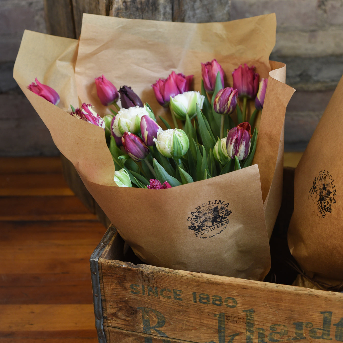 Growers Choice Tulip Bundle
