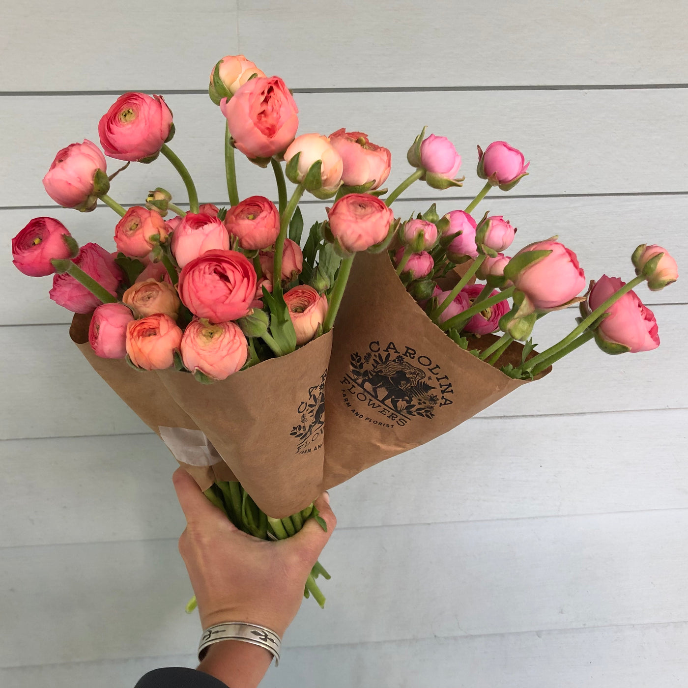 Ranunculus Pastel Mix, 10 Corms
